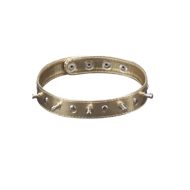 Ошейник с шипами на кнопках