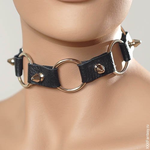 Кожаный ошейник с кольцами и шипами Кожаный ошейник с кольцами и шипами