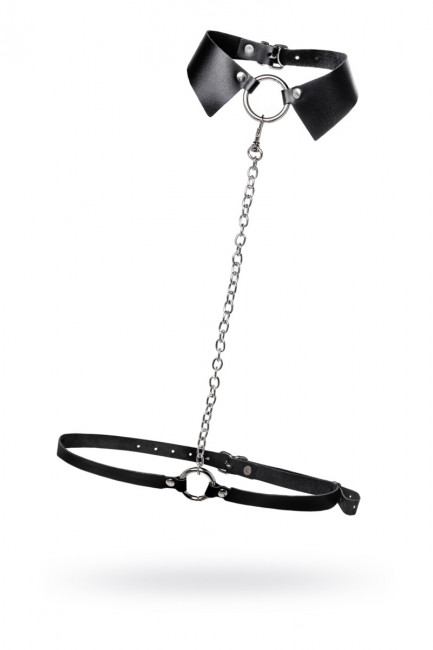 Портупея-чокер-ошейник Портупея-чокер-ошейник