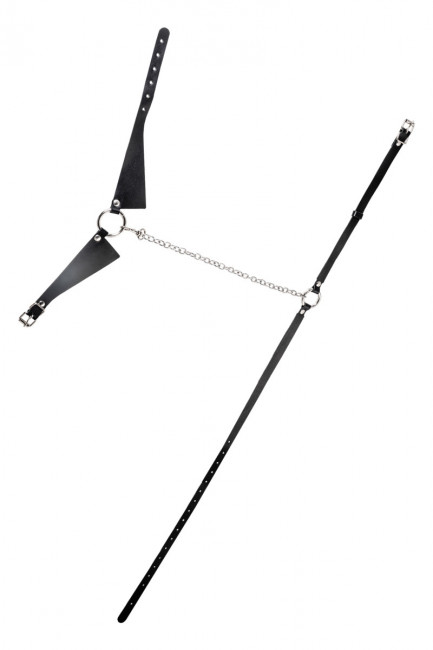 Портупея-чокер-ошейник Портупея-чокер-ошейник