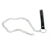 Поводок на металлической цепочке