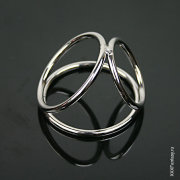 Металлический бондаж члена и мошонки