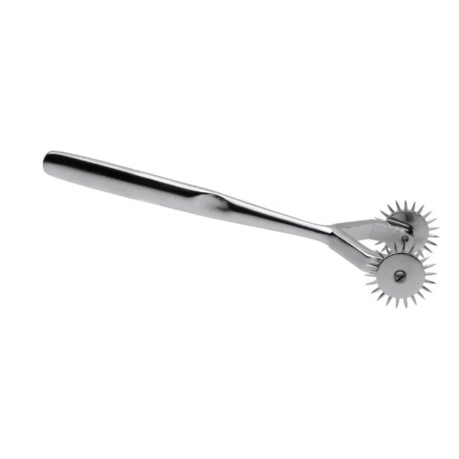 Двойное игольчатое колесо Вартенберга