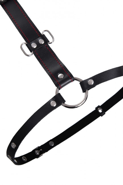 Сбруя из натуральной кожи для фиксации шеи и рук
