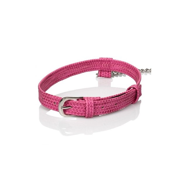 Ошейник с поводком унисекс Ошейник с поводком унисекс