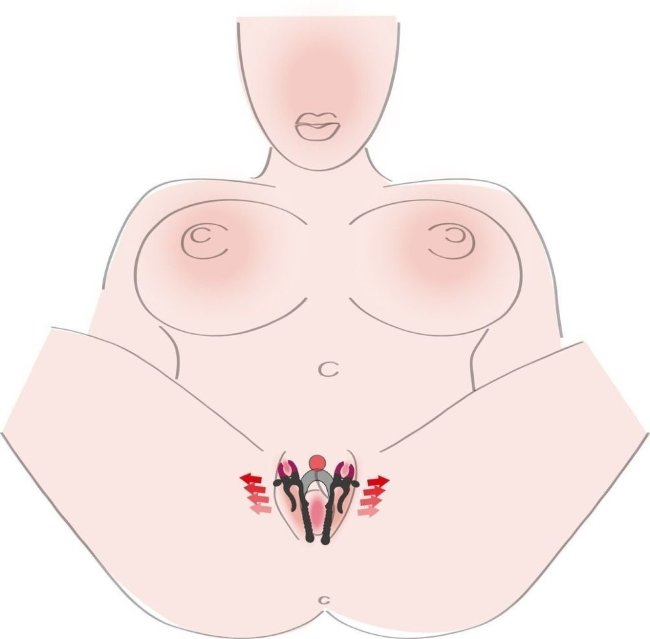 Зажим на половые губы с гибким соединителем Зажим на половые губы с гибким соединителем